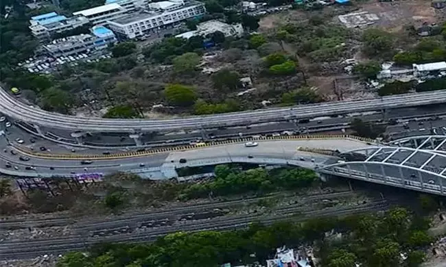 ఇదో పాముల వంతెన.. బండిమీద పోతే అంతే గతి..