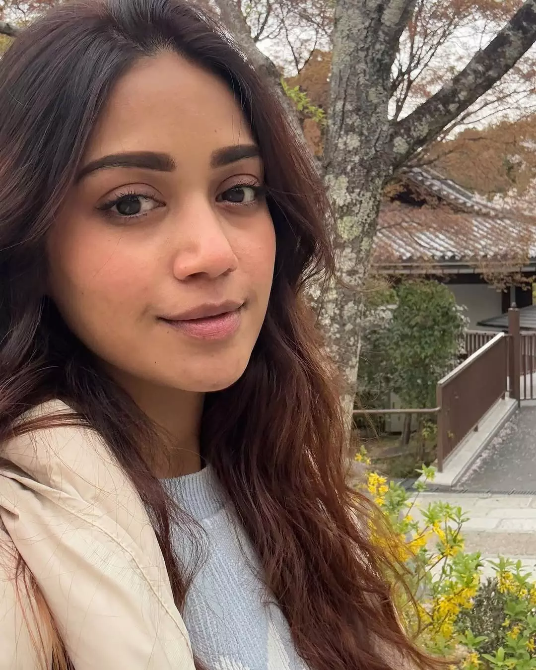 Nivetha Pethuraj Instagram Pics are an Eyefeast Nivetha Pethuraj Instagram Pics are an Eyefeast