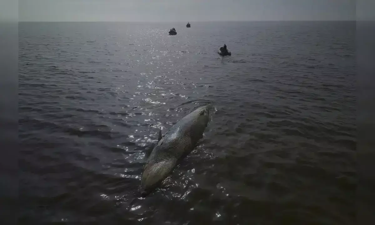 బిగ్ అలర్ట్... 30 చోట్ల ప్రకంపనలు, 16 చోట్ల సునామీ!