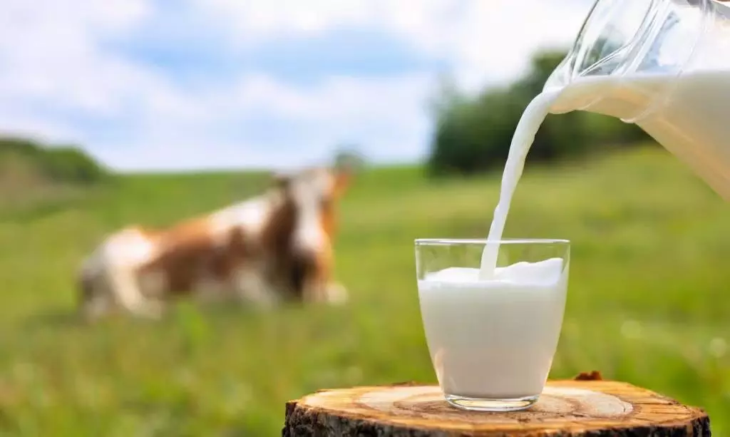 ఈ ఊళ్లో పాలు ఎవరికైనా ఫ్రీగా పోసేస్తారు.. డబ్బులు తీసుకోరు