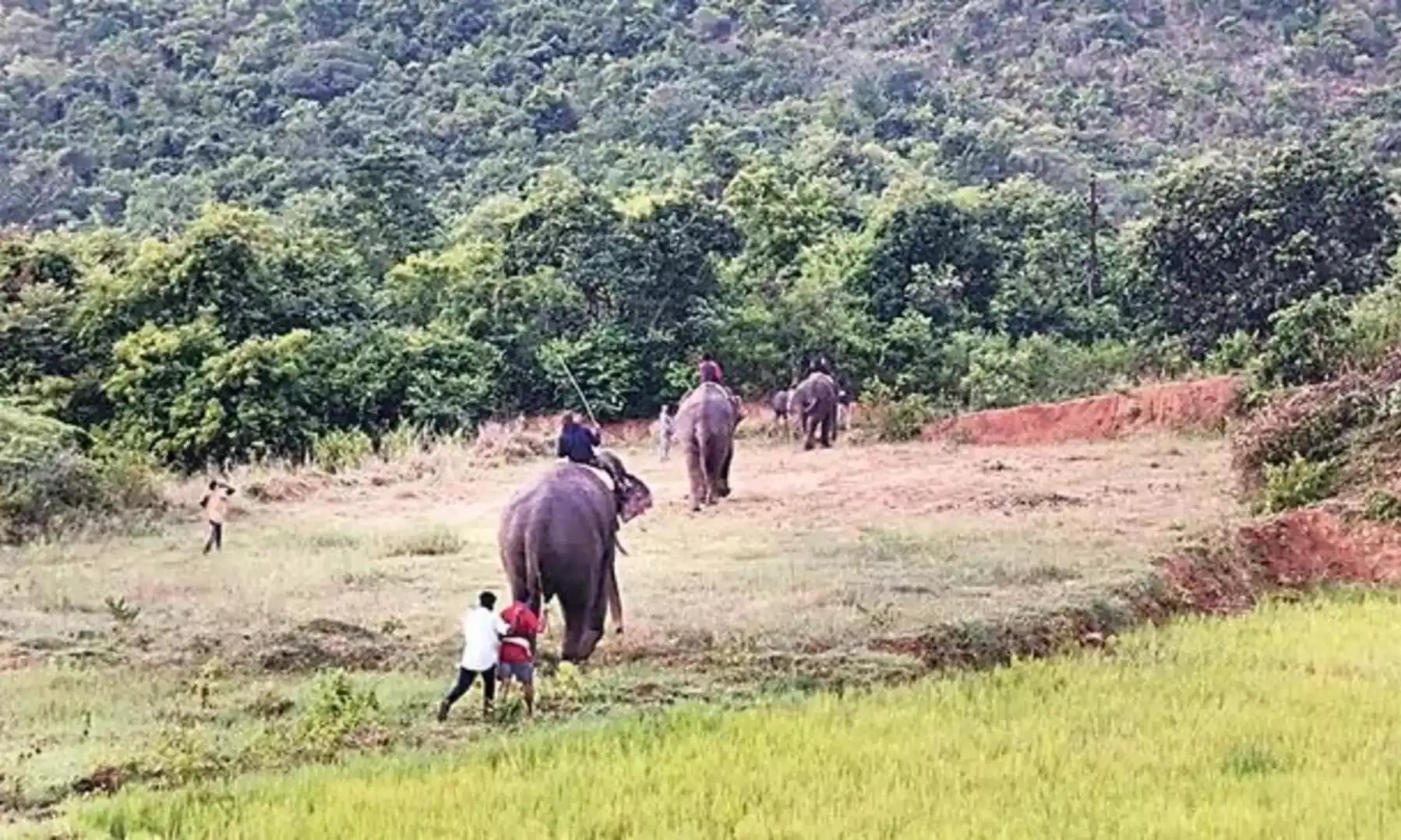 పవర్ చూపించిన కుంకీలు...పవన్ ఖాతాలోనేనా ?