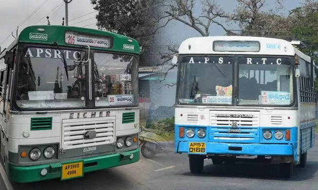 AP Govt to Launch ‘Stree Shakti’ Free Bus Travel for Women