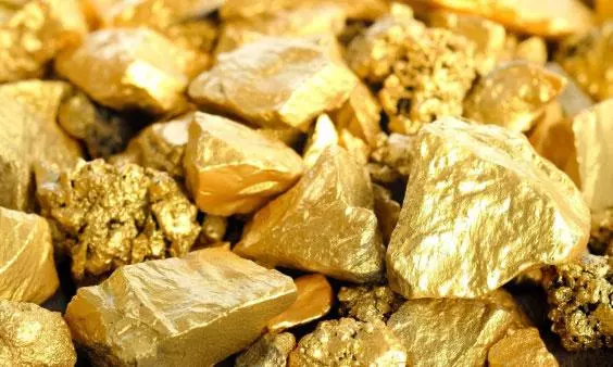 100 హెక్టార్ల విస్తీర్ణంలో బంగారు నిక్షేపాలు..తవ్వే కొద్దీ బంగారమే.. ఎక్కడో తెలుసా?