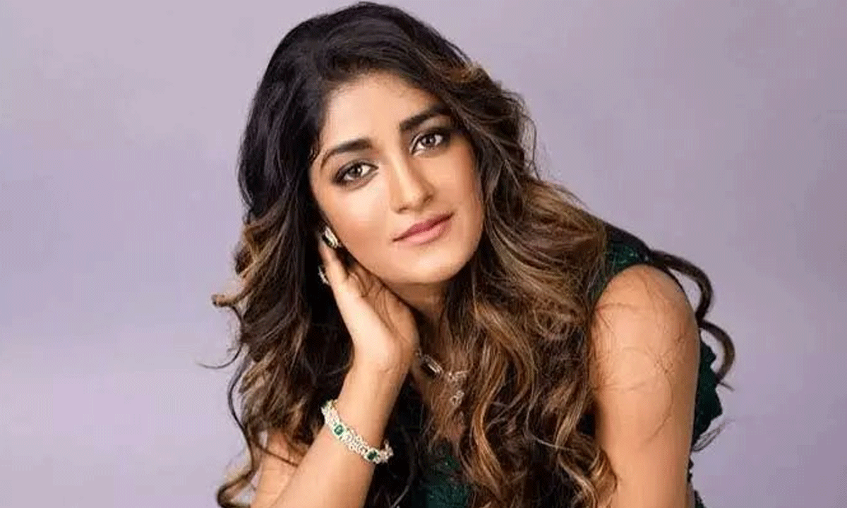 డింపుల్ హయాతిపై కేస్ ఫైల్?