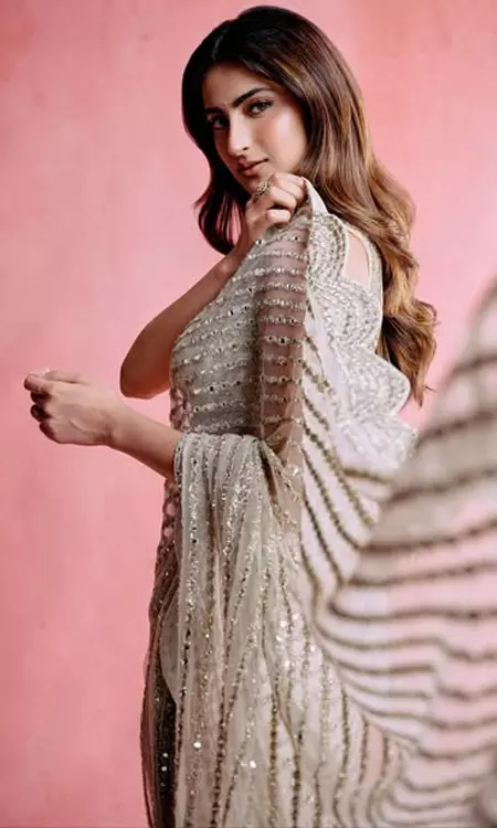 Palak Tiwari Dazzles in a Shimmering  Saree