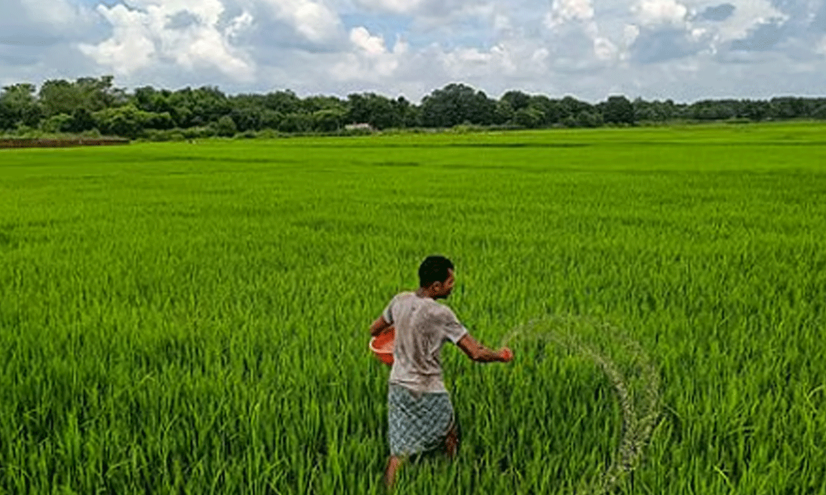 కౌలు రైతులకు కూటమి సర్కార్  ఊహించని  గుడ్  న్యూస్!