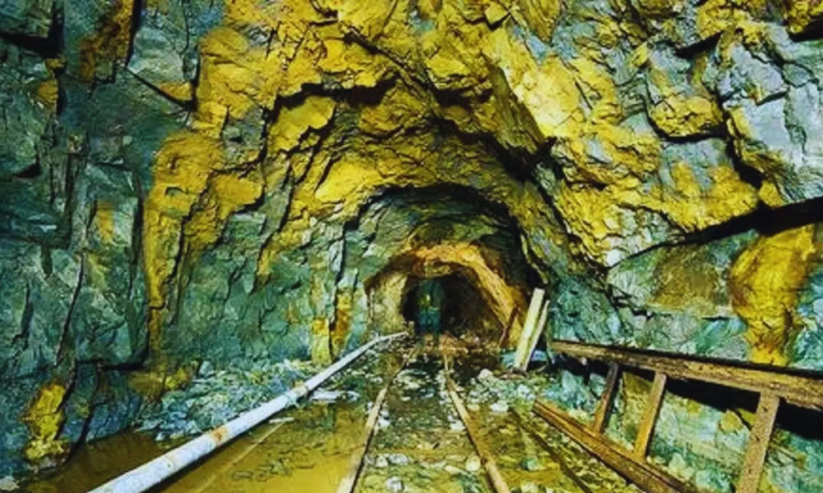 వెలుగులోకి మరో బంగారు గని.. ఏకంగా 222 టన్నులకు పైగా..