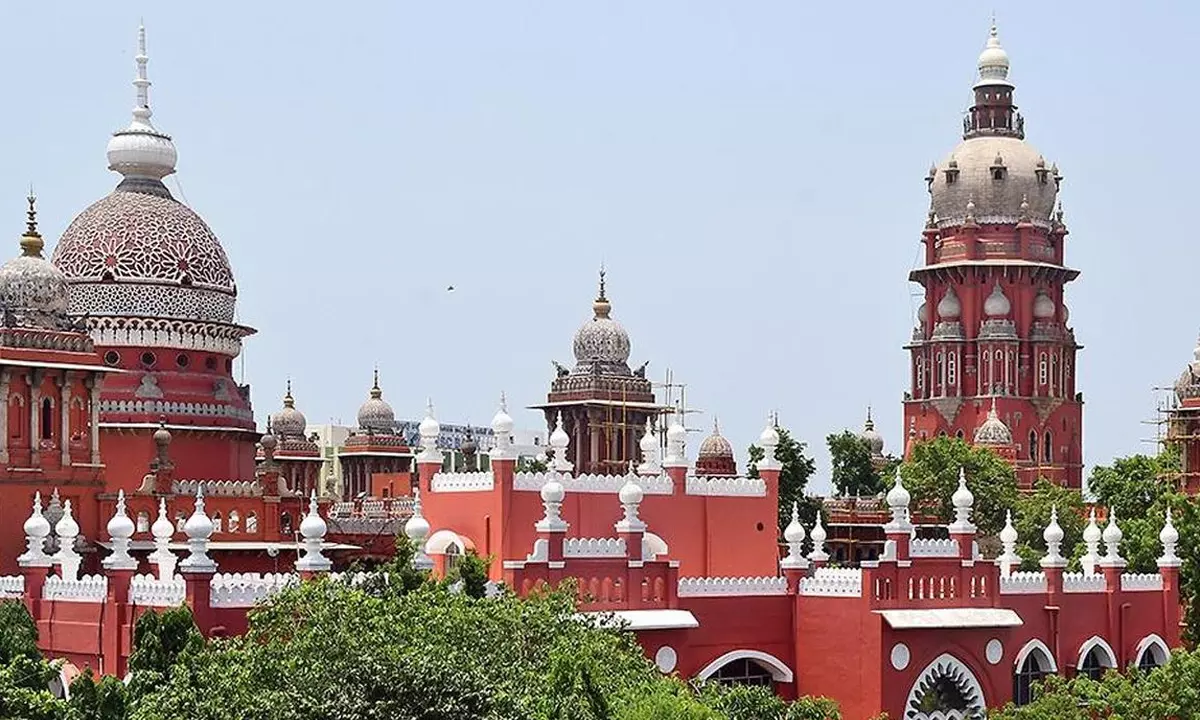 లివ్ ఇన్ సంబంధం - గాంధర్వ వివాహం... హైకోర్టు సంచలన వ్యాఖ్యలు!