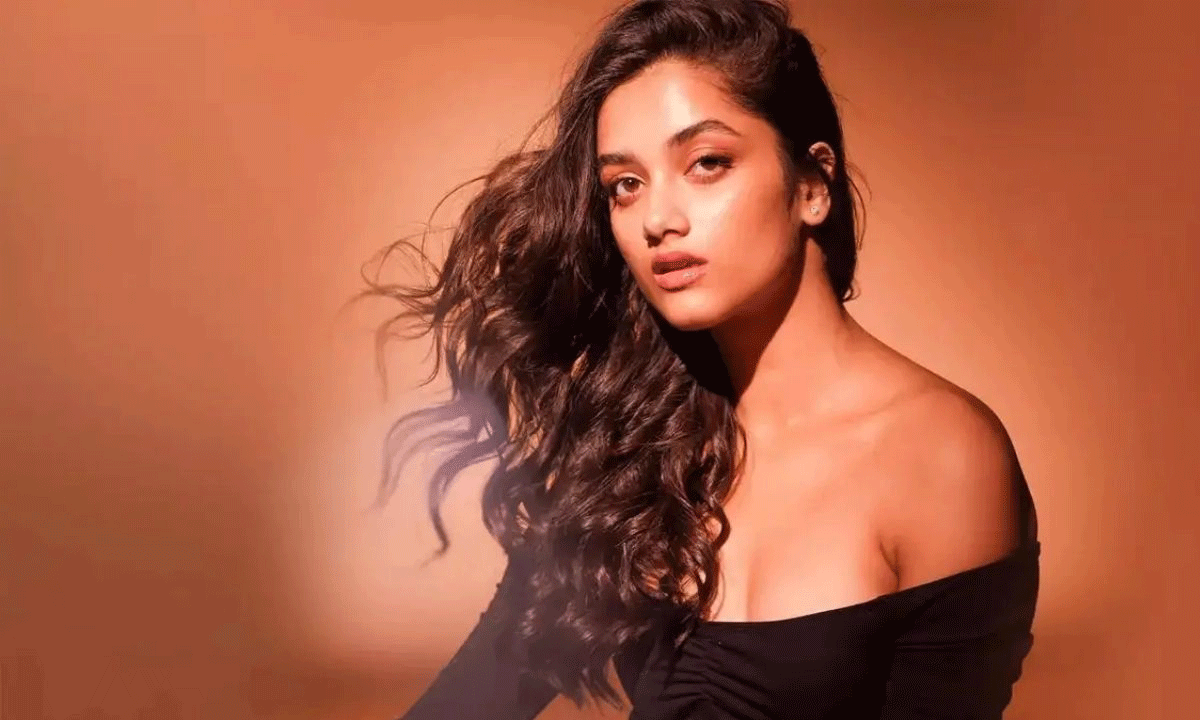 భాగ్య శ్రీ బోర్సే ఇంకెంత కాలం!