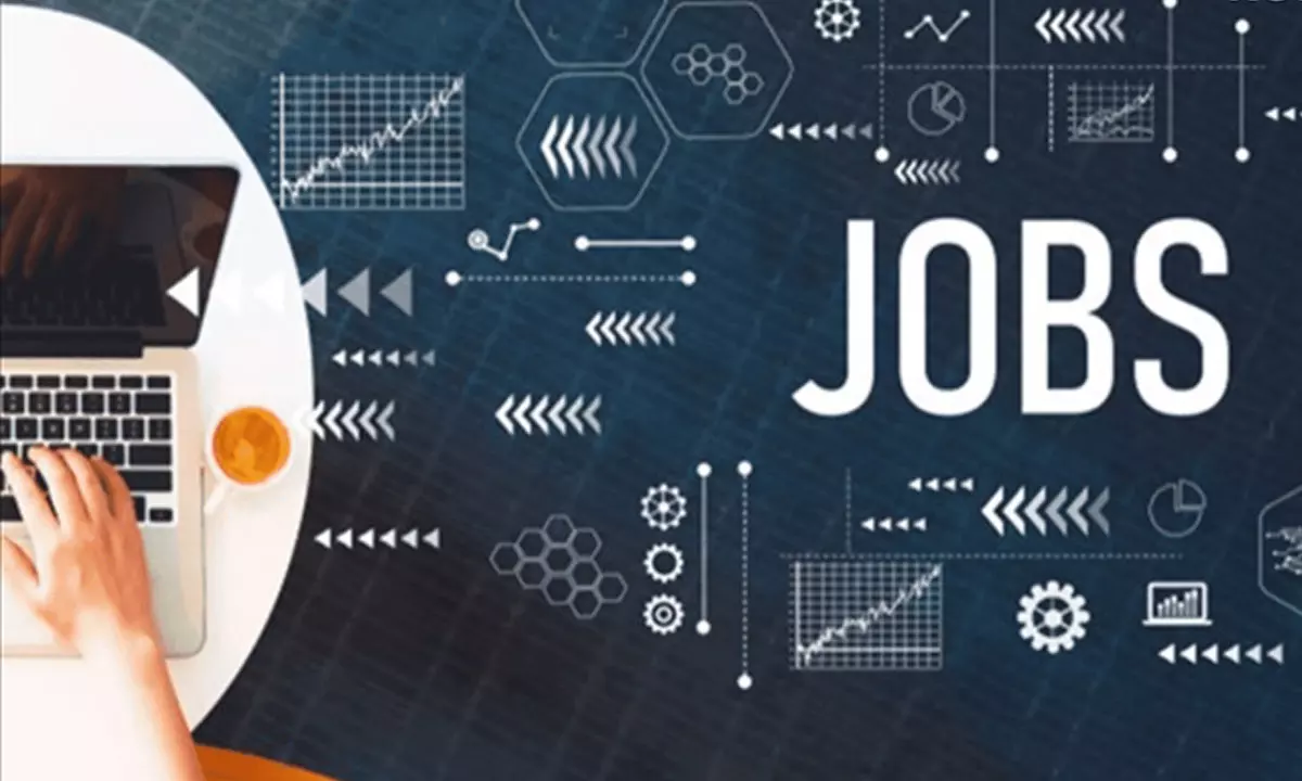 ఐటీ క్రేజ్ తగ్గుతోందా? 2026లో హాట్ కేకుల్లాంటి ఉద్యోగాలివే!