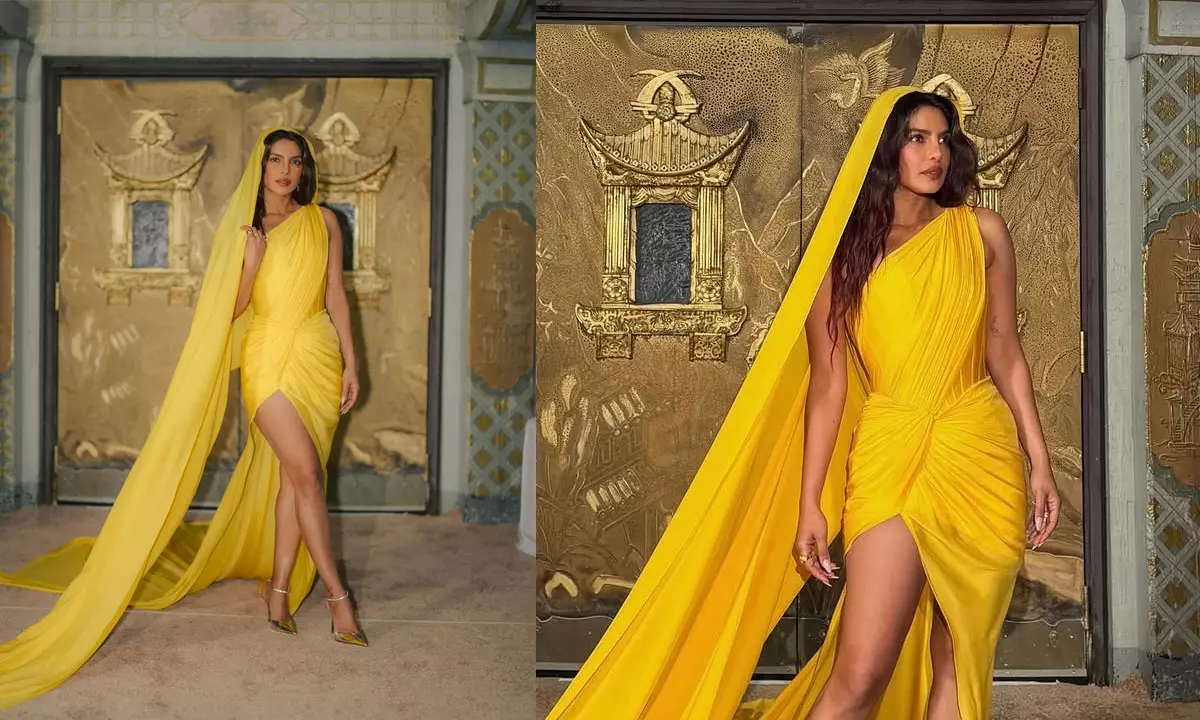 స‌ముద్ర‌పు దొంగ నిధి పెట్ట‌తో మ‌న‌సు దోచిన గ్లోబ‌ల్ ఐక‌న్