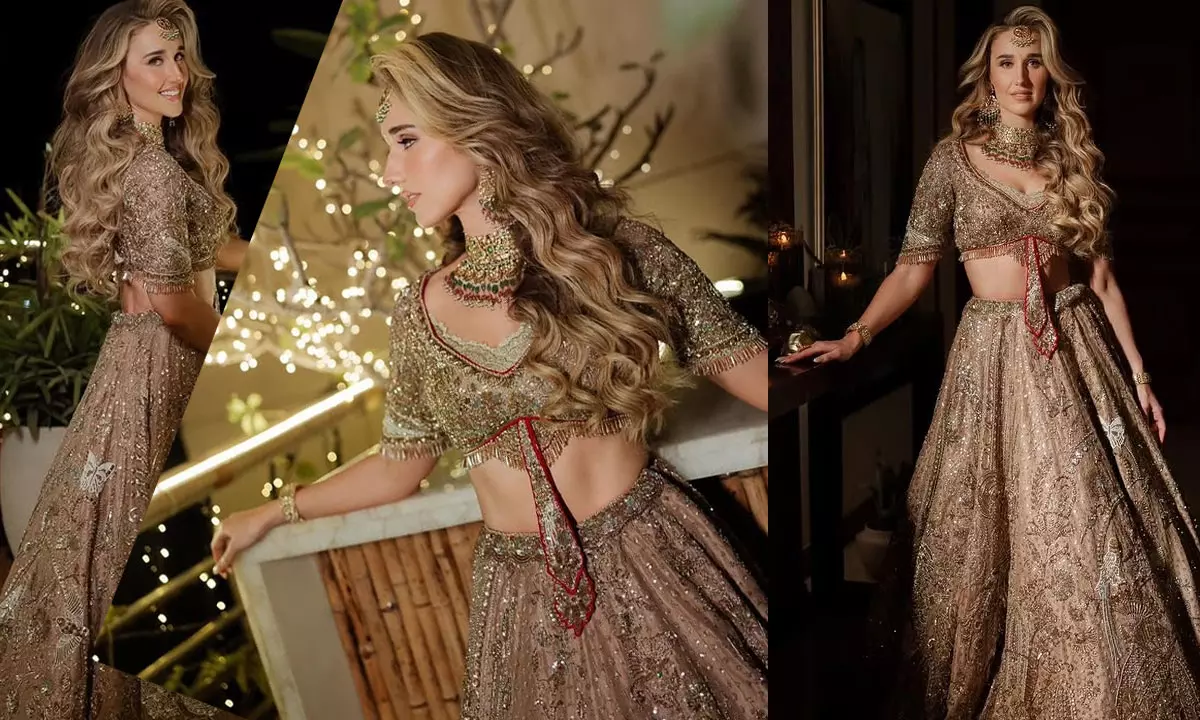 శిఖ‌ర్ ధావ‌న్ పెళ్లి.. వ‌ధువు సొగ‌సు చూడ‌త‌ర‌మా