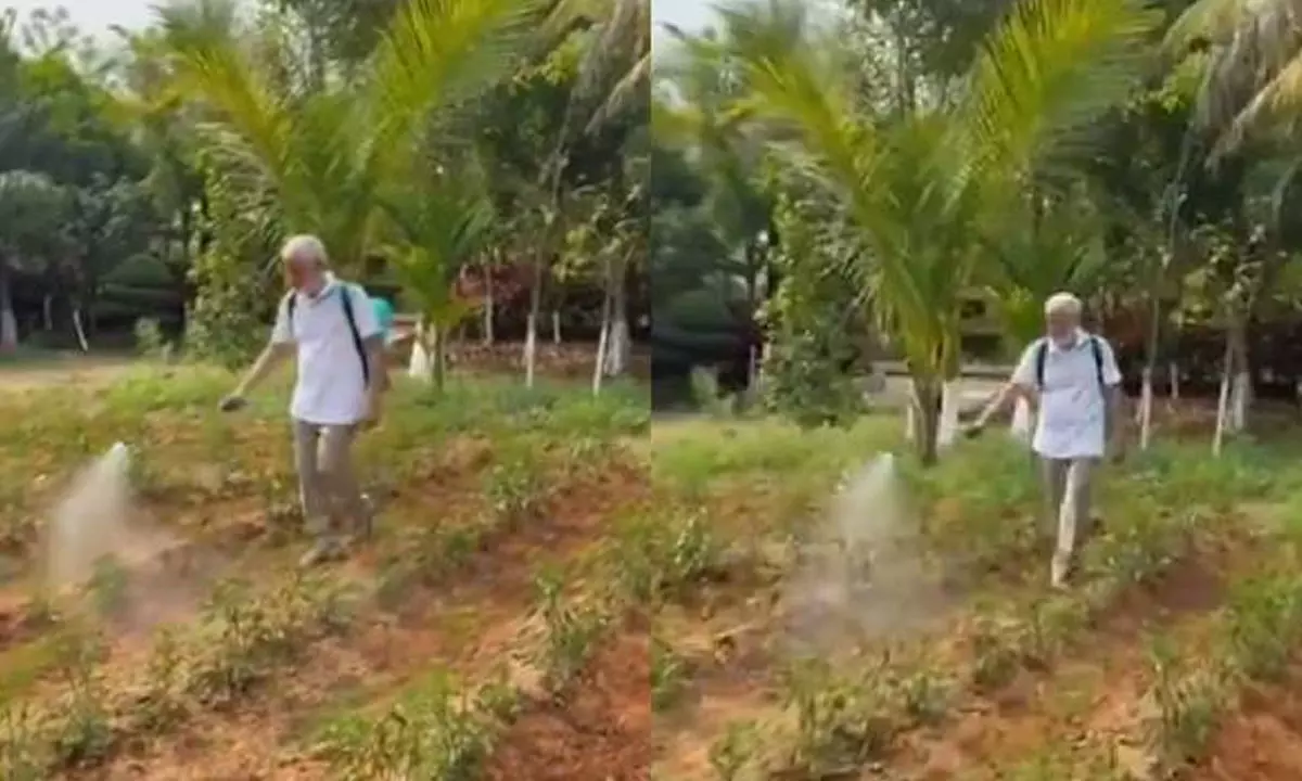 వ్యవసాయం మొదలు పెట్టిన విజయసాయిరెడ్డి