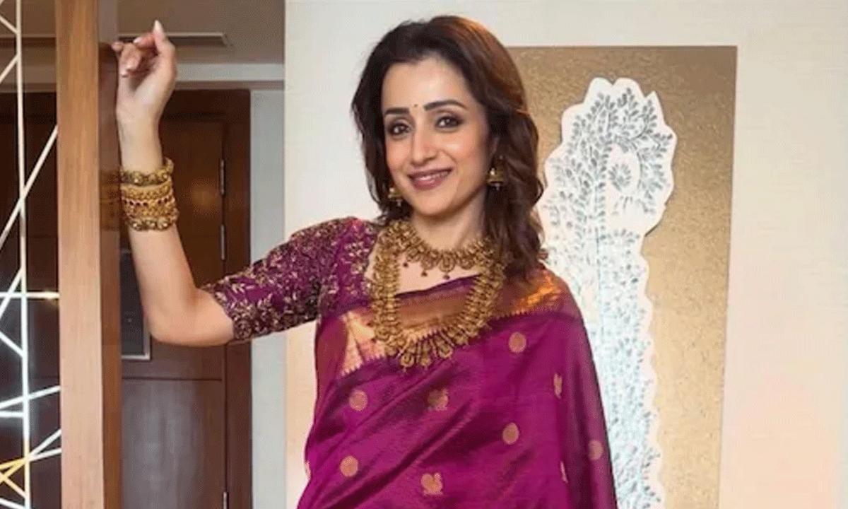 పొలిటికల్ ఎంట్రీ.. త్రిష సరైన ఆన్సర్ ఇవ్వనుందా?