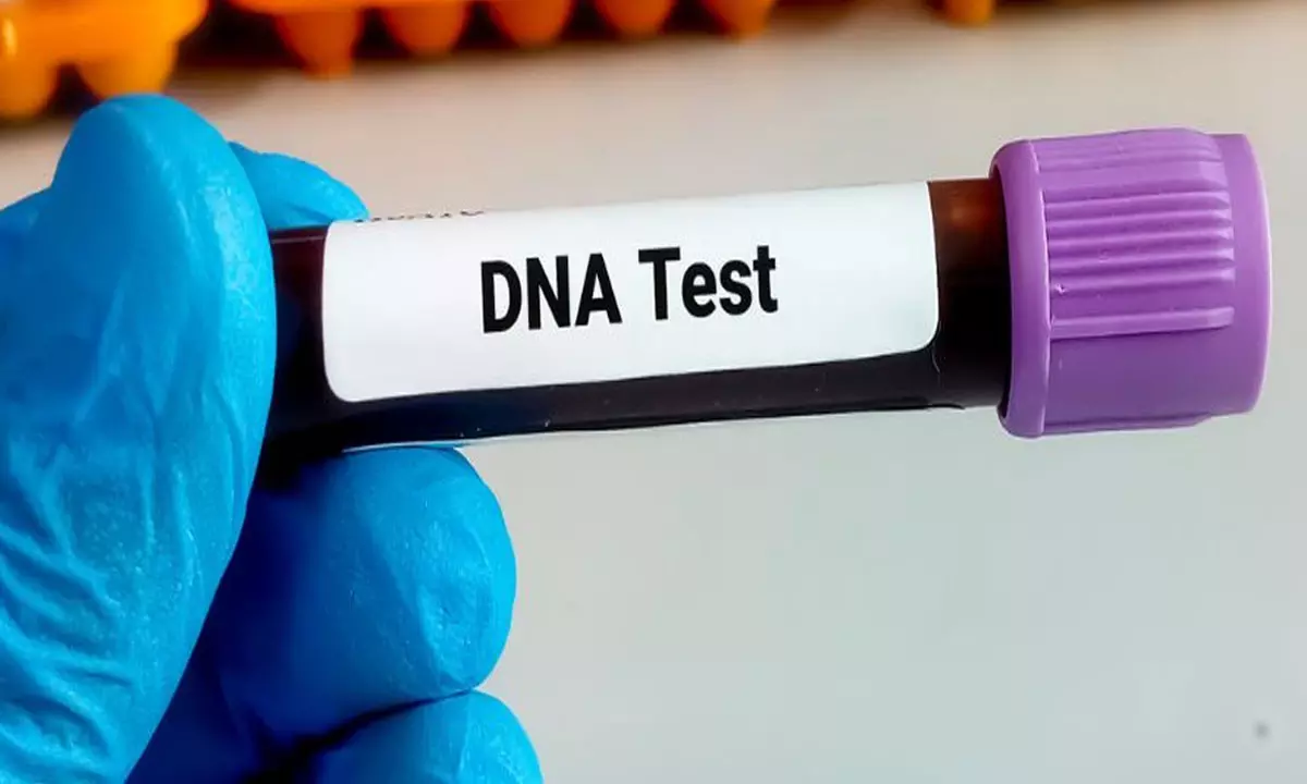 పిల్లలకు డీఎన్ఏ టెస్ట్ చేయించాలన్న తండ్రి.. కోర్టు సంచలన నిర్ణయం..