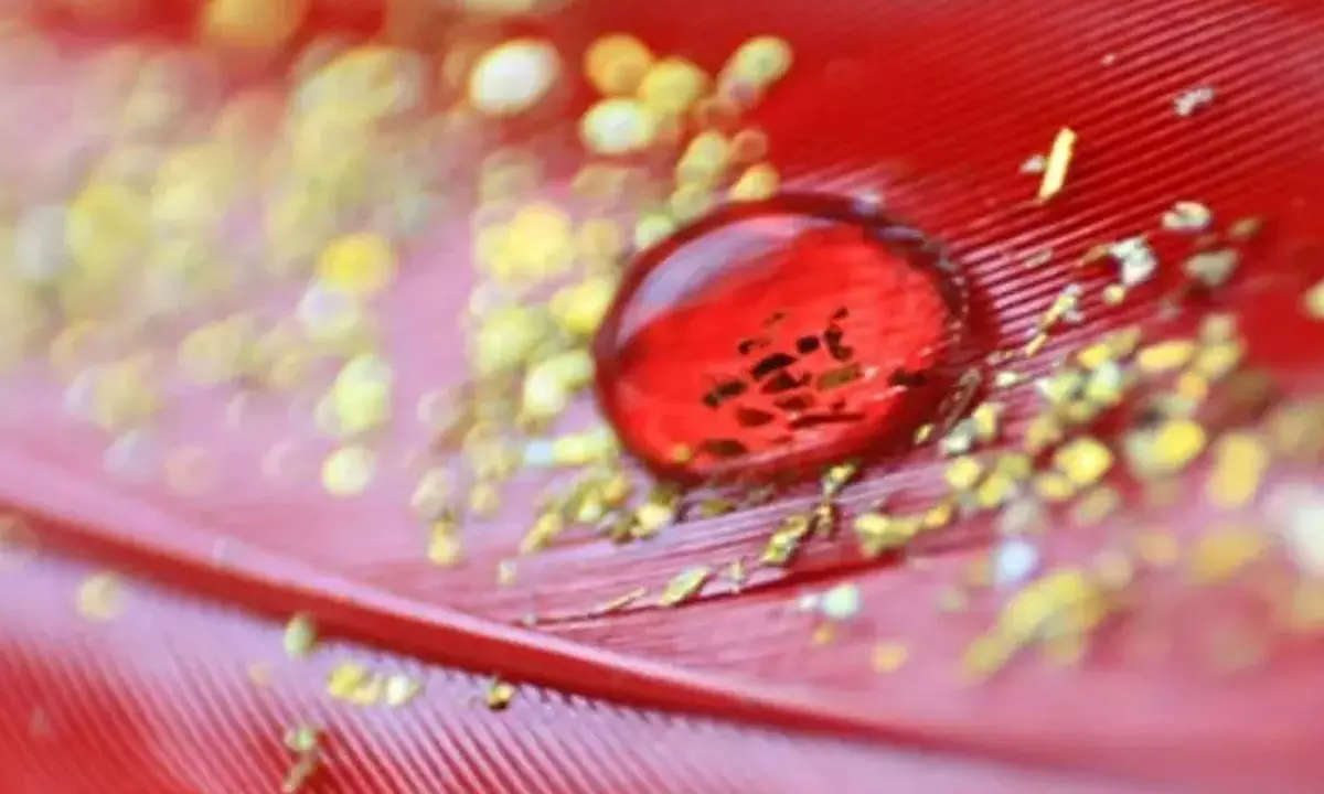 వైద్యశాస్త్రంలో అద్భుతం: ప్రపంచంలోనే అత్యంత అరుదైన ‘గోల్డెన్ బ్లడ్’ విశేషాలివీ