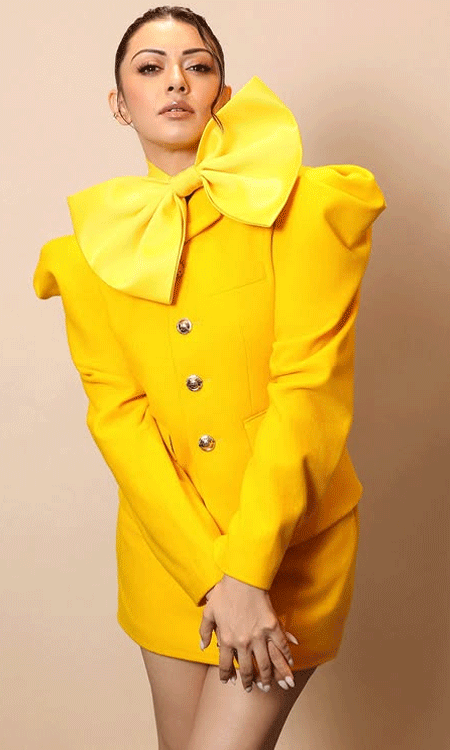 Hansika Motwani Shares Stylish Instagram Post