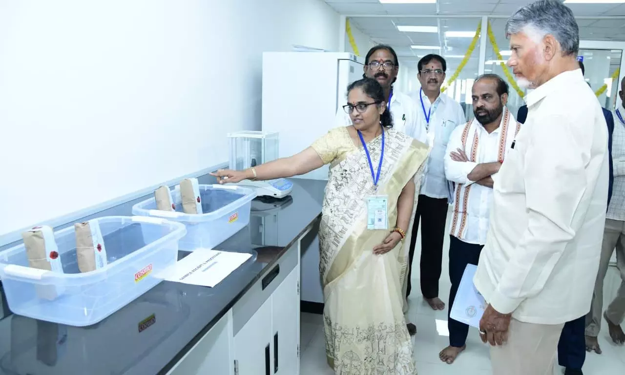 తిరుమల పూర్తిగా మారిపోతుందా..? ప్రసాదాలు, దర్శనాలపై కీలక మార్పులు