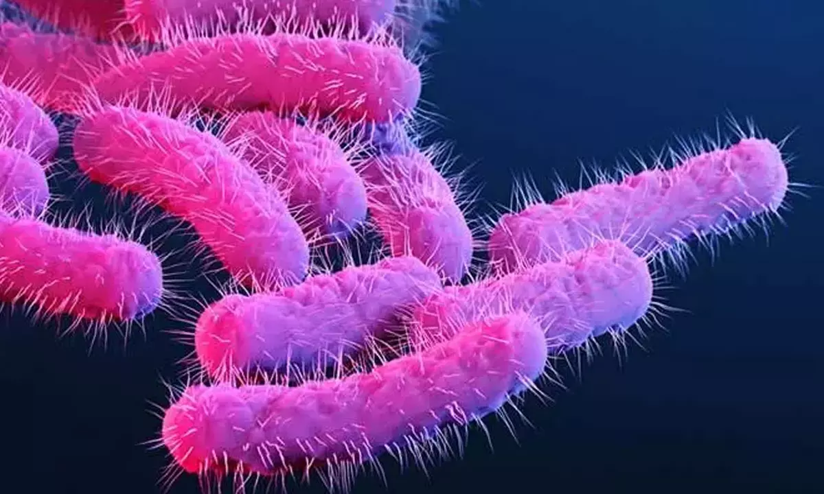 కేరళలో వేగంగా వ్యాపిస్తున్న షికెల్లా.. లక్షణాలు ఇవే..