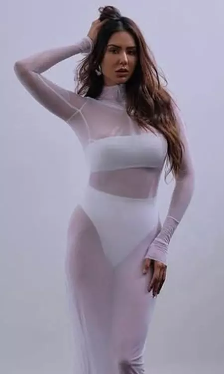 Sonam Bajwa Turns Up the Heat with Glamorous Sheer Outfit