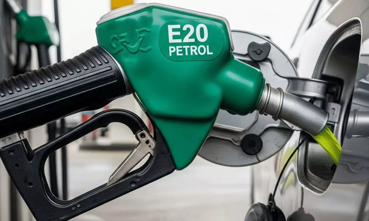 డైల‌మా.. క‌న్ఫ్యూజన్! E20 పెట్రోల్‌తో ఇక్క‌ట్లే లేవ‌ని త‌ప్ప‌దారి ప‌ట్టిస్తున్నారా?