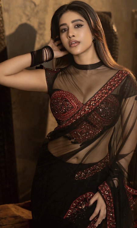 Nabha Natesh Dazzles in Saree Look