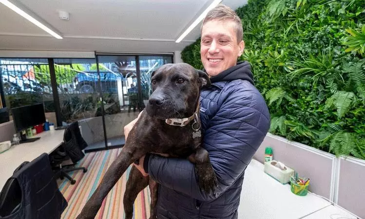 ఏఐ అద్భుతం: ప్రాణం పోసిన కృత్రిమ మేధ