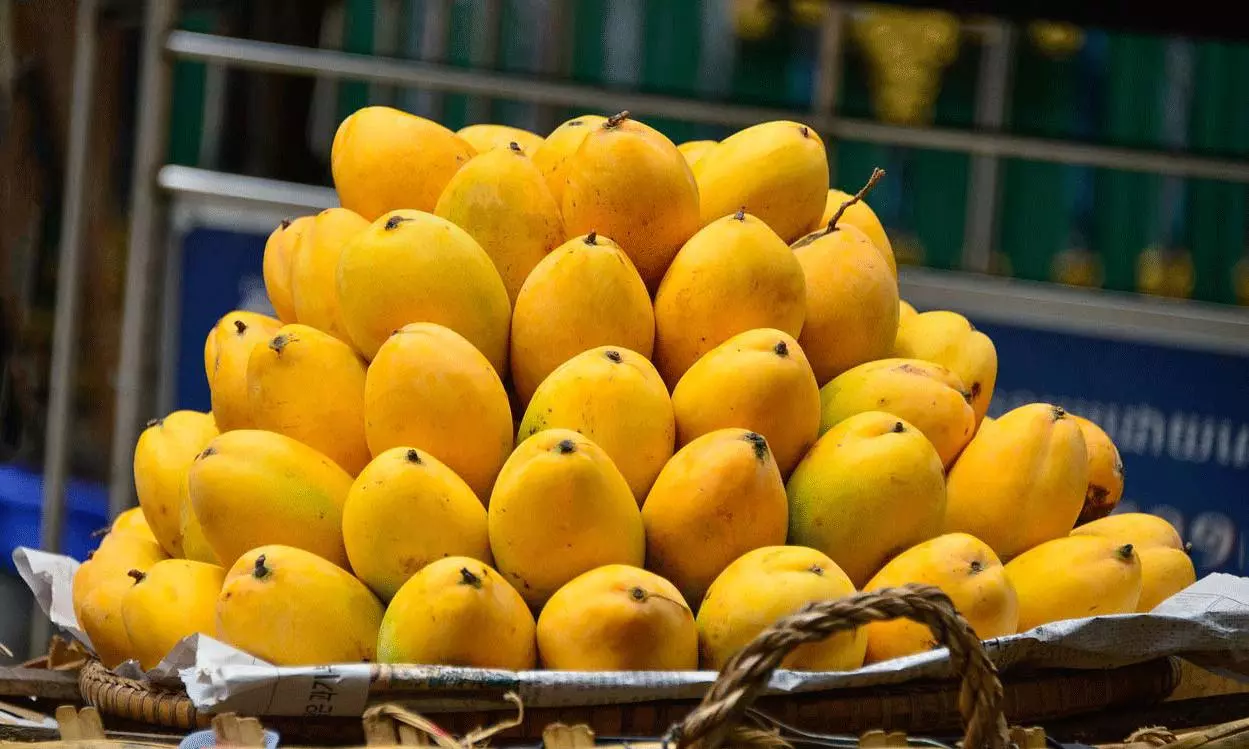 హైదరాబాద్‌లో ఫుడ్ టెన్షన్.. ఈ వేసవిలో మామిడి పండ్లు ఆరోగ్యమేనా?