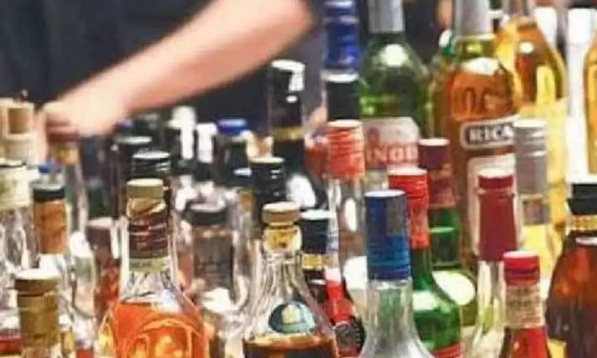 బిగ్ బ్రేకింగ్ : ఏపీ లిక్కర్ స్కాంపై సంచలన తీర్పు