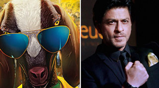 Shah rukh khan Yeh hai Bakrapur Movie