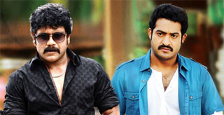 Nagarjuna Confirms Movie with Jr NTR Nagarjuna Confirms Movie with Jr NTR