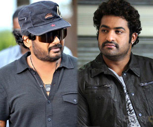 Puri Jagannath and NTR movie
