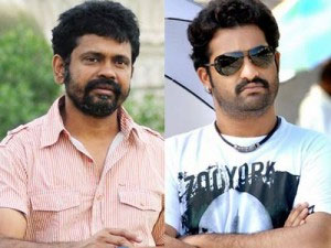 NTR movie With Sukumar