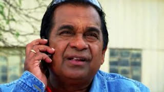 Brahmanandam trying for movie offers