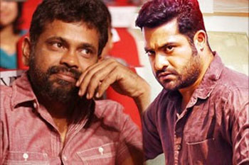 Sukumar Planning NTR Movie Shooting At Abroad