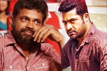 NTR and Sukumar movie Starts at Britain
