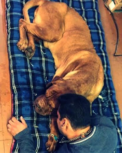 Photo Story: Superstar mourns for Veer death