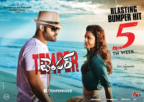 Temper Movie Final Collections