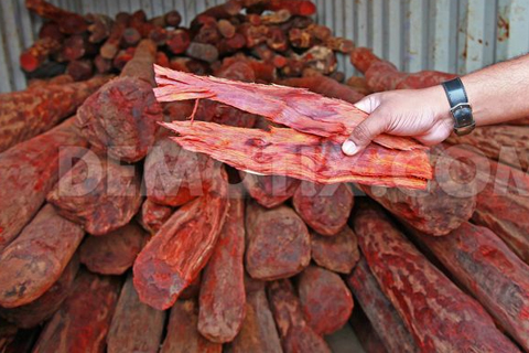 Red Sandalwood Smuglling Spreaded through out india