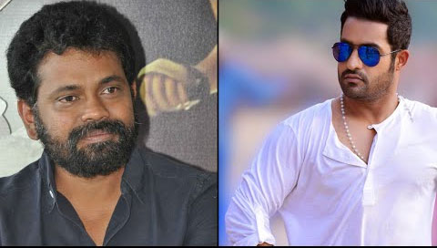 BVSN Prasad opens on NTRs movie