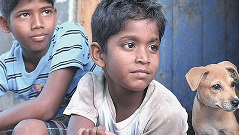 చిక్కుల్లో ధనుష్ సినిమా చిక్కుల్లో ధనుష్ సినిమా