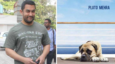 ఏనుగు, కుక్క, నక్క, పిల్లి.. ఫ్లూటో