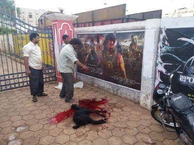 Prabhas opposed Bali but fans did Goat Bali