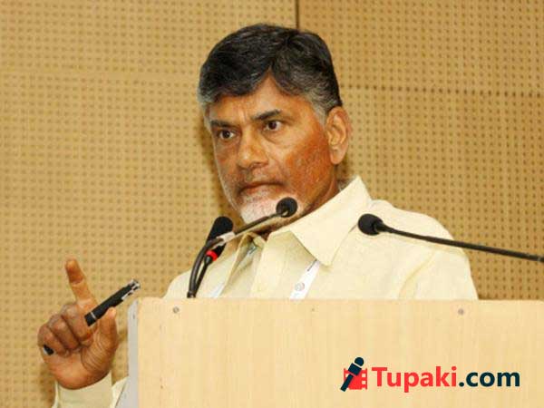 Andhra-born NRIs guide TDP Govt