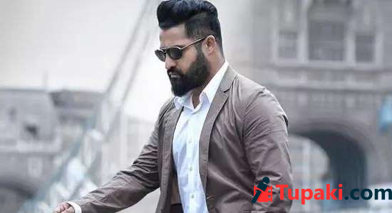 తంబీల వద్దకు వెళ్తానంటున్న టైగర్