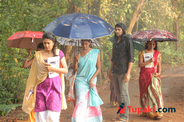 Rescue Effort: Hora Hori Gets Trimmed