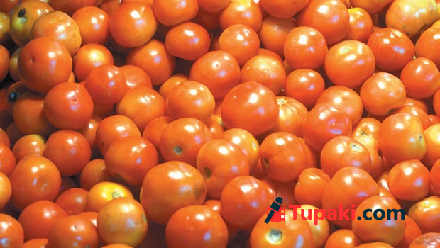 రూపాయి కంటే త‌క్కువ‌గా కిలో ట‌మోటా