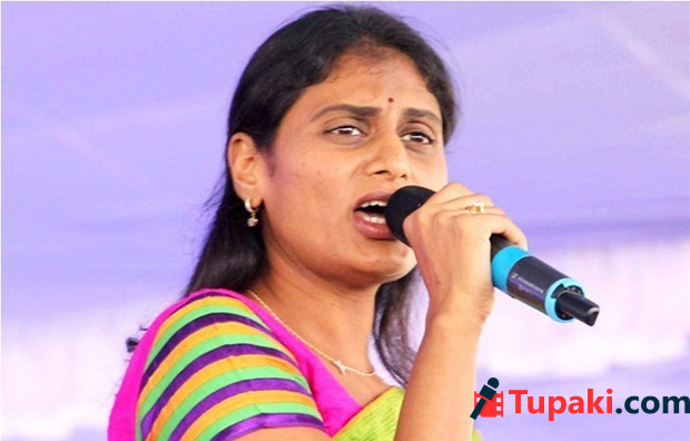 బాబును అంతమాట అనేసి షర్మిల