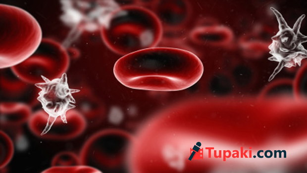 ‘‘మెలియోఐడోసిస్’’ మహా డేంజరస్ కిల్లర్