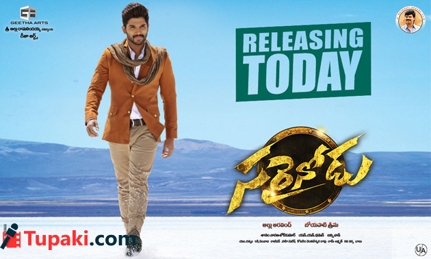 సరైనోడు